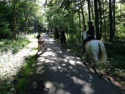 img_3099_web